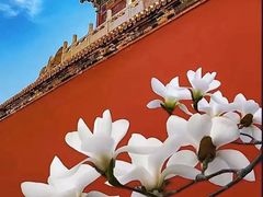 -故宫博物院(故宫)