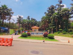 -重庆海昌加勒比海水世界