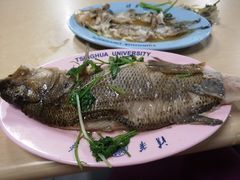 -清华大学-清芬园