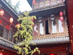 -小龙翻大江文化火锅(宽窄店)