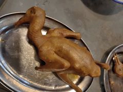 -南海鸽天下(肇庆店)