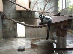 -石家庄市动物园