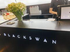 -BLACKSWAN黑天鹅(环球店)