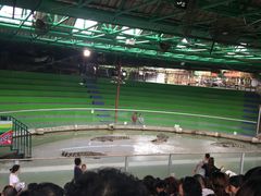 -是拉差龙虎园(Permanently closed)