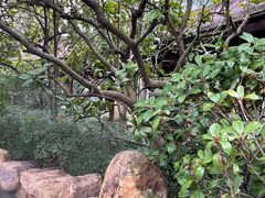 -万象温泉景区
