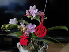 -金城大酒店-中餐厅(汾江中路店)