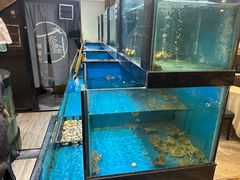 -聚鑫阁江浙菜·非遗传承技艺(青村帝华园店)