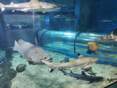 -福州罗源湾海洋世界旅游区