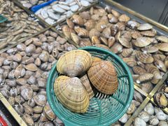 -半岛听涛蒸汽海鲜自助(K11店)