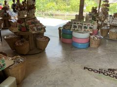 -大象粑粑造纸公园