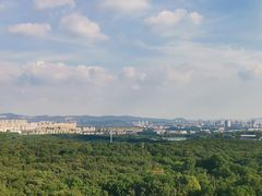-灵谷景区