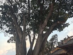 -巍山古城