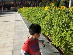 -千姿湖生态旅游景区