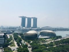 -新加坡瑞士史丹福酒店