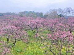 -凤凰沟景区