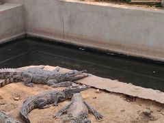 -石家庄市动物园