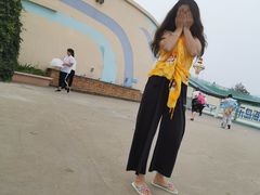 -秦皇岛乐岛海洋王国