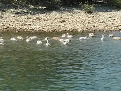 -楠溪江风景名胜区