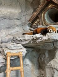 -Zoolung Zoolung动物主题公园(海信广场店)