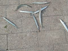 -青岛第三海水浴场