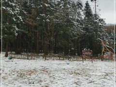 -武陵山森林公园