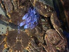 -开海·红岛海鲜虾水饺(石老人店)