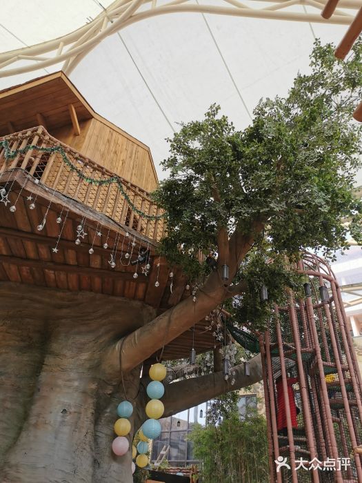 芙罗拉花园图片