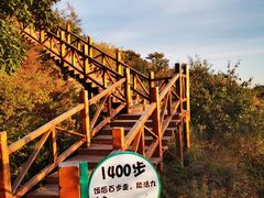 -大岭沟猕猴桃谷风景区