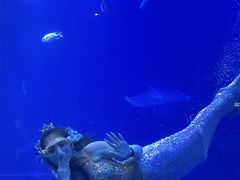 -太平洋海底世界