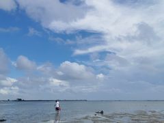 -北海金海湾红树林生态旅游区