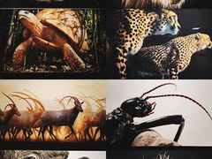 -国家自然博物馆