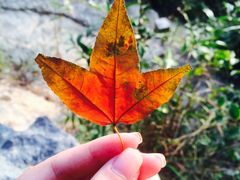 -七娘山