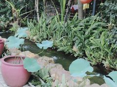 -合晋食府(广州合晋帝苑酒店)
