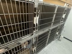 -中农大我爱我爱24h动物医院·中医针灸·猫专科·骨科医疗中心(双井店)