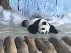 -海南热带野生动植物园