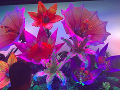 -永利扒房(永利皇宫店)