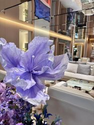 -蘭FACE·海菲秀飞顿Med SPA