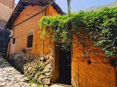 -杨家堂村