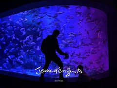 -成都浩海立方海洋公园