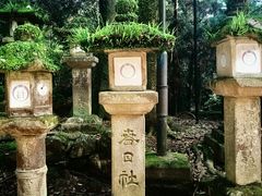 -奈良公园