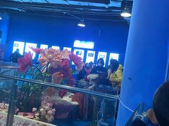 -威海华夏城景区