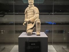 -秦始皇帝陵博物院(兵马俑)