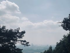 -火炉山森林公园