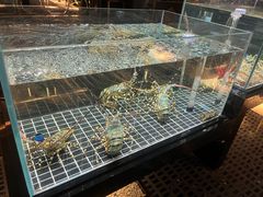 -璞御·海鲜·雪花牛肉局(宾水西道店)
