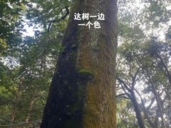 -西湖风景区十里琅珰-五云山
