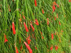 -南通洲际绿博园