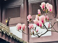 -成都杜甫草堂博物馆