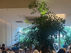 -Peet's 皮爷咖啡(海雅缤纷城店)