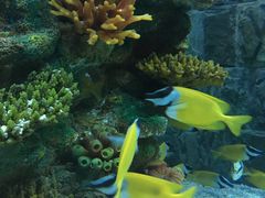 -乌鲁木齐海洋馆