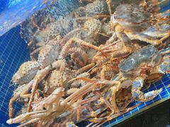 -海鲨湾海鲜会馆(百家湖1912店)